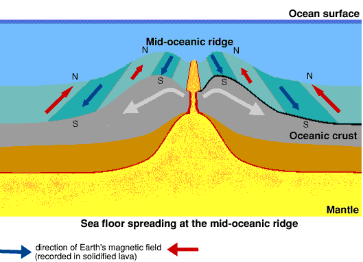 real-world-example-of-divergent-boundary-allisson-has-andrade